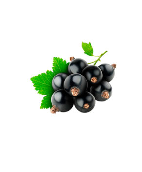 Пищевой ароматизатор TРА Чёрная смородина( Black Currant), 10мл